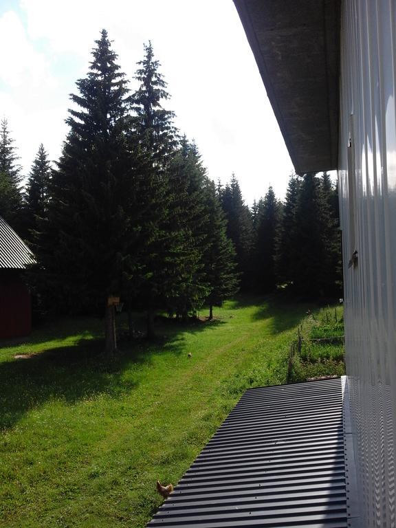 Apartment Luka Žabljak Eksteriør bilde